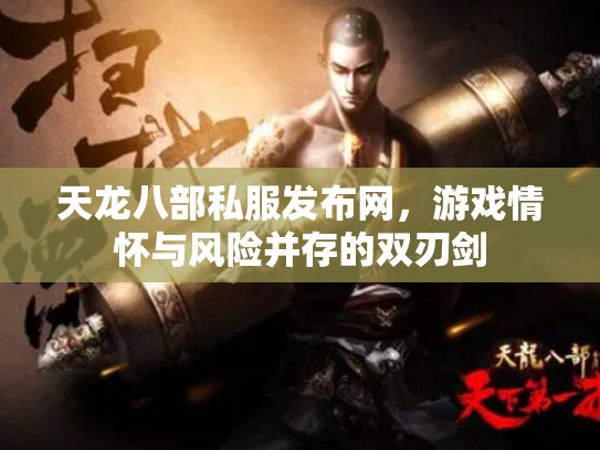 天龙八部私服发布网，游戏情怀与风险并存的双刃剑