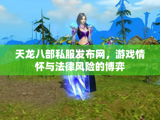 天龙八部私服发布网，游戏情怀与法律风险的博弈