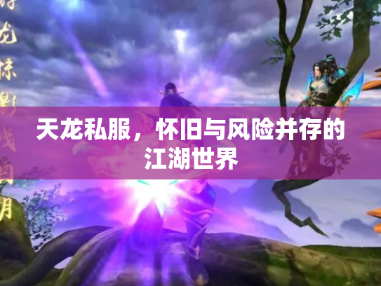 天龙私服，怀旧与风险并存的江湖世界
