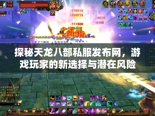 探秘天龙八部私服发布网，游戏玩家的新选择与潜在风险