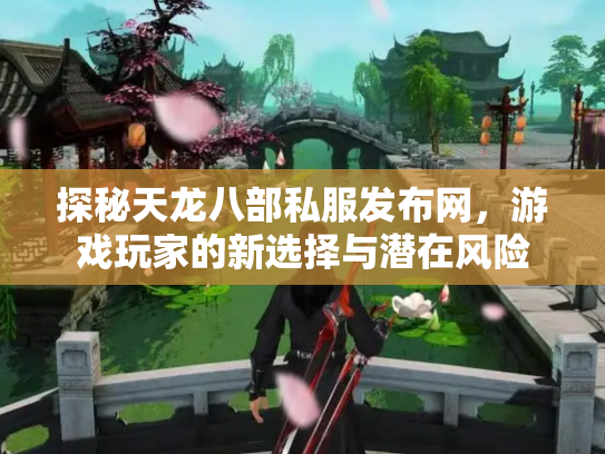 探秘天龙八部私服发布网，游戏玩家的新选择与潜在风险