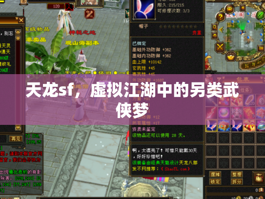 天龙sf，虚拟江湖中的另类武侠梦