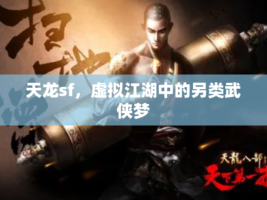 天龙sf，虚拟江湖中的另类武侠梦