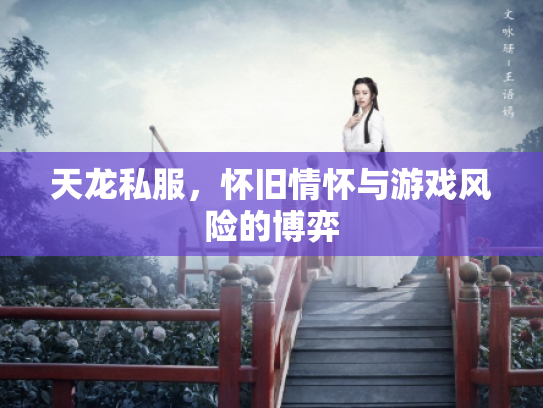 天龙私服，怀旧情怀与游戏风险的博弈