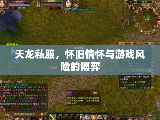 天龙私服，怀旧情怀与游戏风险的博弈