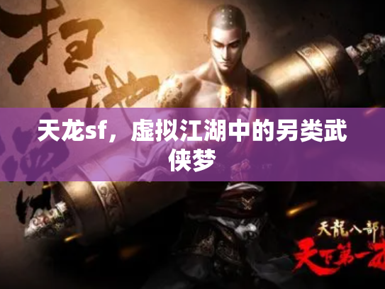 天龙sf，虚拟江湖中的另类武侠梦