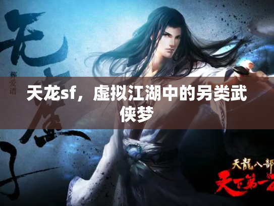 天龙sf，虚拟江湖中的另类武侠梦