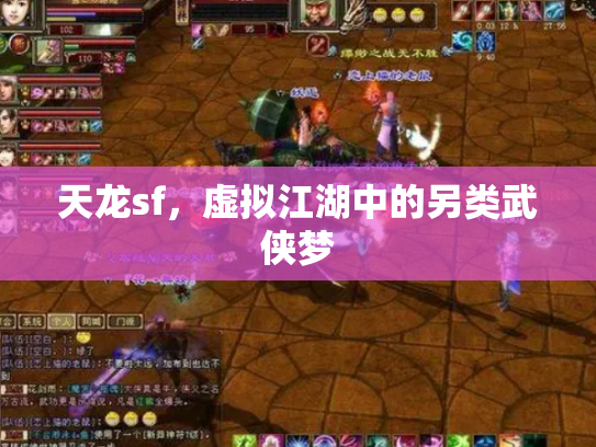 天龙sf，虚拟江湖中的另类武侠梦