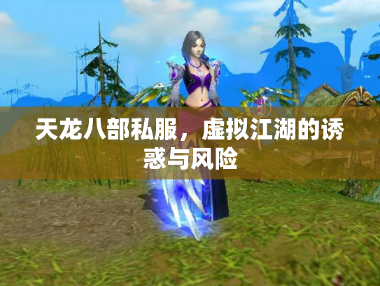 天龙八部私服，虚拟江湖的诱惑与风险