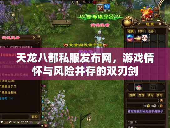 天龙八部私服发布网，游戏情怀与风险并存的双刃剑
