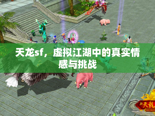 天龙sf，虚拟江湖中的真实情感与挑战