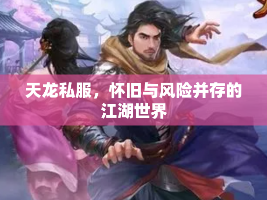 天龙私服，怀旧与风险并存的江湖世界