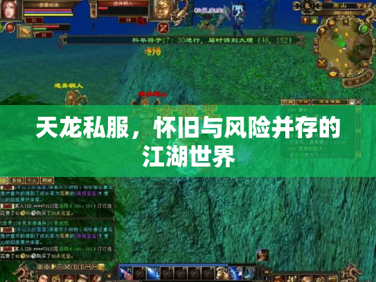 天龙私服，怀旧与风险并存的江湖世界
