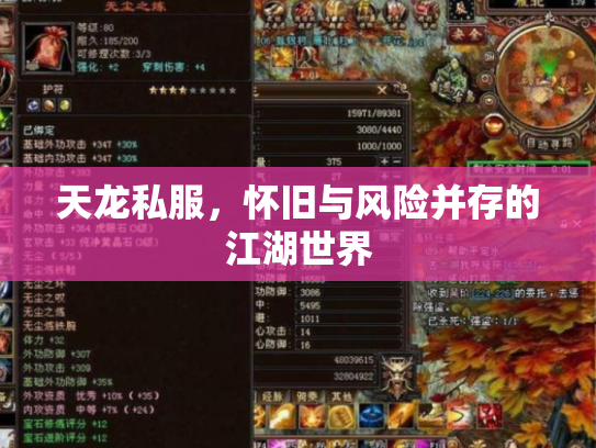 天龙私服，怀旧与风险并存的江湖世界