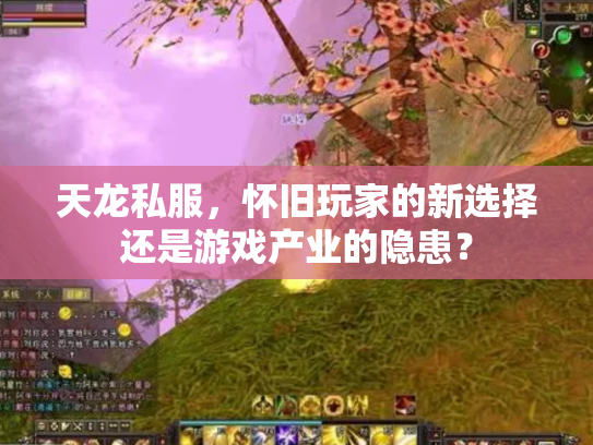天龙私服，怀旧玩家的新选择还是游戏产业的隐患？