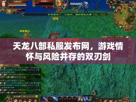 天龙八部私服发布网，游戏情怀与风险并存的双刃剑