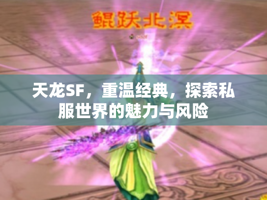 天龙SF，重温经典，探索私服世界的魅力与风险