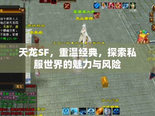 天龙SF，重温经典，探索私服世界的魅力与风险
