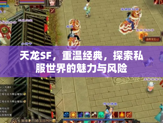 天龙SF，重温经典，探索私服世界的魅力与风险