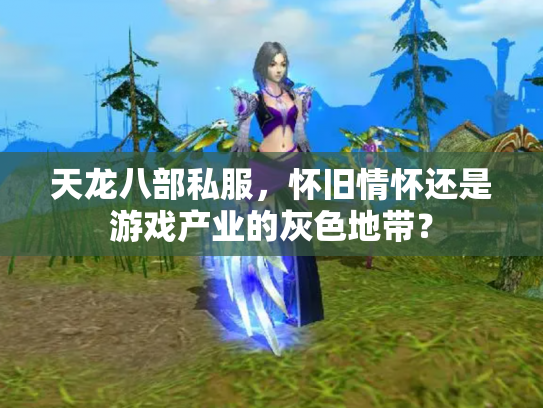 天龙八部私服，怀旧情怀还是游戏产业的灰色地带？
