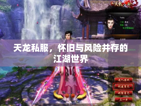 天龙私服，怀旧与风险并存的江湖世界