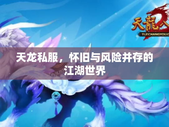 天龙私服，怀旧与风险并存的江湖世界