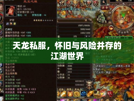 天龙私服，怀旧与风险并存的江湖世界