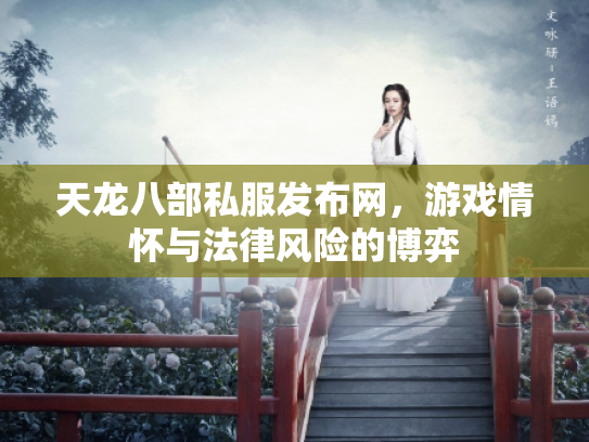 天龙八部私服发布网，游戏情怀与法律风险的博弈