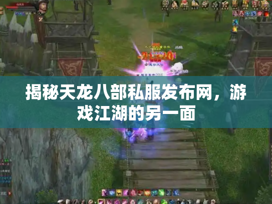 揭秘天龙八部私服发布网，游戏江湖的另一面