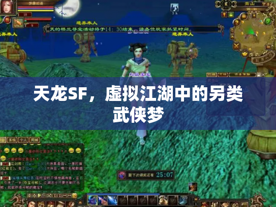 天龙SF，虚拟江湖中的另类武侠梦