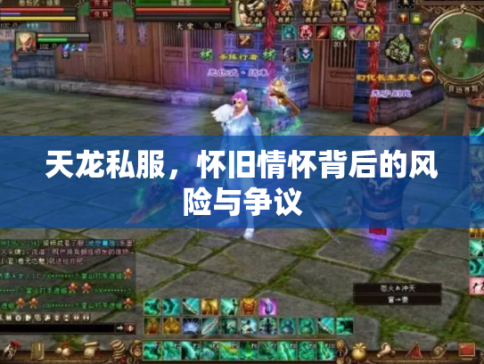 天龙私服，怀旧情怀背后的风险与争议