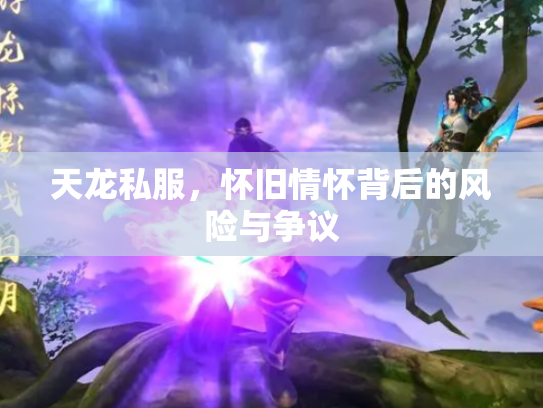 天龙私服，怀旧情怀背后的风险与争议