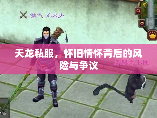 天龙私服，怀旧情怀背后的风险与争议
