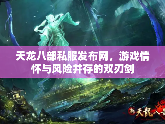 天龙八部私服发布网，游戏情怀与风险并存的双刃剑