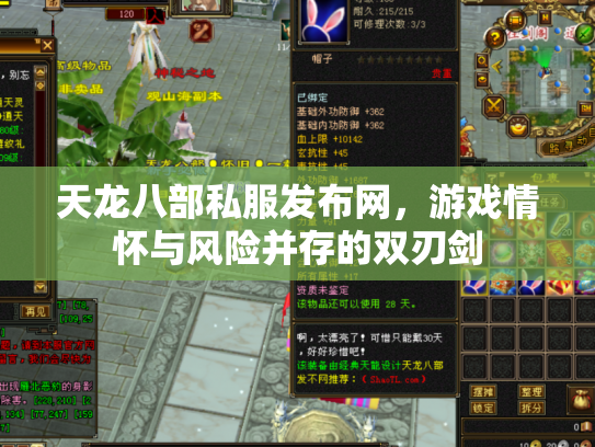 天龙八部私服发布网，游戏情怀与风险并存的双刃剑