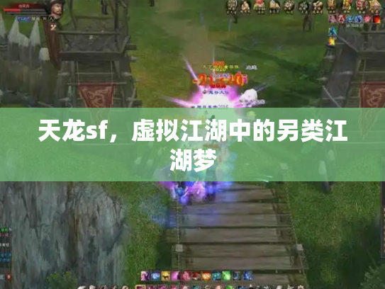天龙sf，虚拟江湖中的另类江湖梦