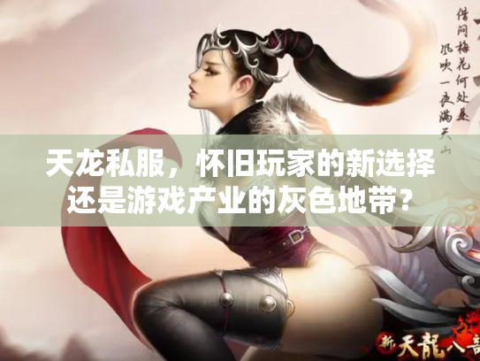 天龙私服，怀旧玩家的新选择还是游戏产业的灰色地带？