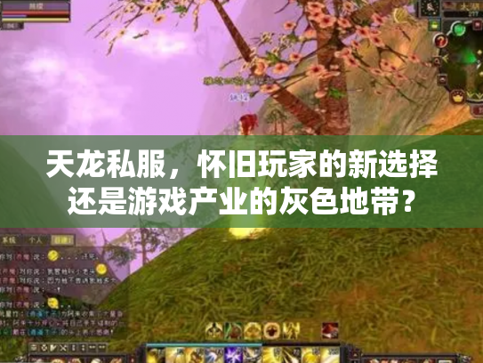 天龙私服，怀旧玩家的新选择还是游戏产业的灰色地带？