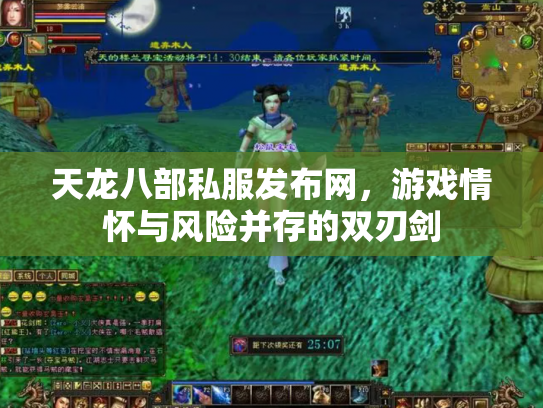 天龙八部私服发布网，游戏情怀与风险并存的双刃剑