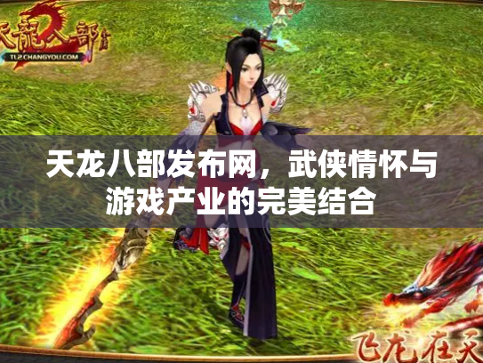 天龙八部发布网，武侠情怀与游戏产业的完美结合