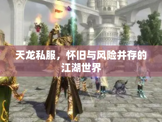 天龙私服，怀旧与风险并存的江湖世界