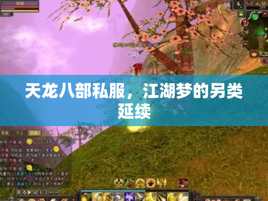 天龙八部私服，江湖梦的另类延续