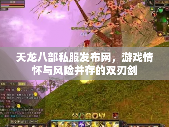 天龙八部私服发布网，游戏情怀与风险并存的双刃剑