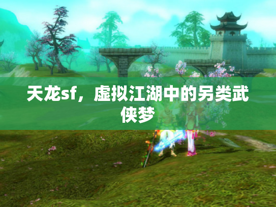 天龙sf，虚拟江湖中的另类武侠梦
