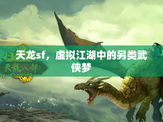 天龙sf，虚拟江湖中的另类武侠梦