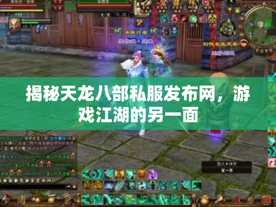 揭秘天龙八部私服发布网，游戏江湖的另一面