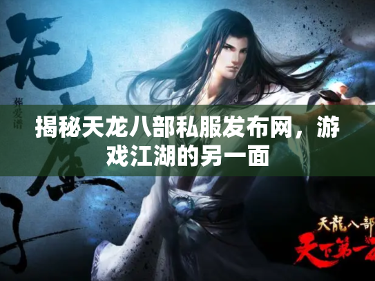 揭秘天龙八部私服发布网，游戏江湖的另一面