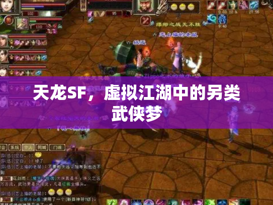 天龙SF，虚拟江湖中的另类武侠梦