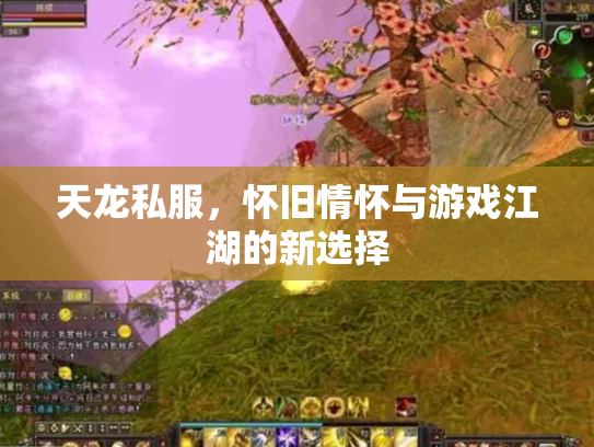 天龙私服，怀旧情怀与游戏江湖的新选择