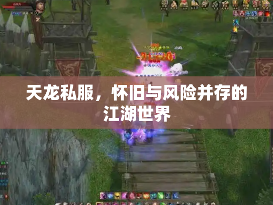 天龙私服，怀旧与风险并存的江湖世界